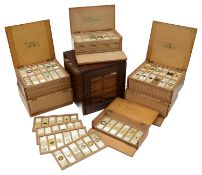 A collection of seven boxes of prepared specimen slides