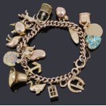 A 9ct gold charm bracelet with nineteen assorted charms