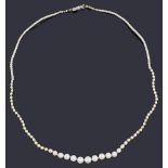 A single row natural pearl necklace