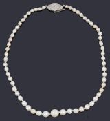 A single row natural and cultured pearl necklace