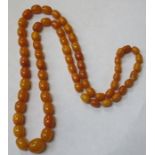 STRAND OF GRADUATED AMBER BEADS