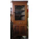 19th CENTURY OAK SINGLE DOOR CORNER CABINET