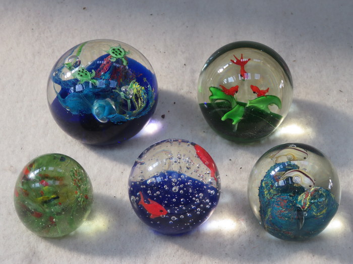 FIVE VARIOUS AQUARIUM STYLE GLASS PAPERWEIGHTS