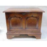 SMALL PANELLED OAK SIDE CABINET