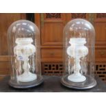 PAIR OF VICTORIAN GILDED GLASS LUSTRES UNDERNEATH VICTORIAN GLASS DOMES (ONE AT FAULT)- rtv