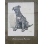 CECIL ALDIN FRAMED PRINT - A THOROUGHBRED MONGREL 42cm X 30cm