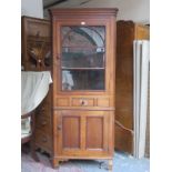 19th CENTURY OAK SINGLE DOOR CORNER CABINET