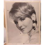Petula Clark Warner Brothers promotional photographs. photographs by Michael Ochs 1970 71cms x 56cms