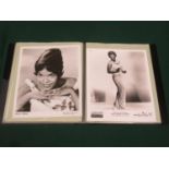 Folder containing 42 Black & White promotional photographs including Millie, The Chiffons, The