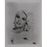 Collection of fifty approx. photographs of movie stars, including Tippi Hedren, Patricia Neal,