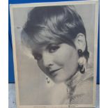 Petula Clark Warner Bros Records promotional board 71cms x 56cms