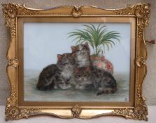 Bessie Bamber (1870-1910) gilt framed oil on opaque glass panel, depicting three Kittens besides