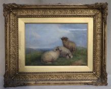 19th century ornately gilt framed oil on canvas depicting a sheep resting, unsigned, Approx. 22 x