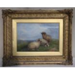 19th century ornately gilt framed oil on canvas depicting a sheep resting, unsigned, Approx. 22 x