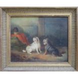 19th century gilt framed oil on canvas depicting terriers, unsigned. Approx. 19 x 24cm