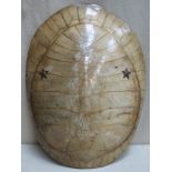 Late 19th century South American Blonde (albino) turtle shell, with mounted brass stars to front and