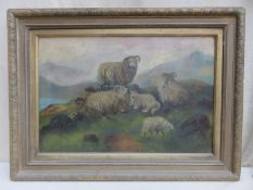 John. S. Fox victorian gilt framed oil on canvas depicting a Scottish highland scene with sheep