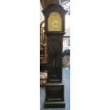 Early 20th century mahogany cased grandmother clock, with ormolu brass mounted tempus fugit dial,
