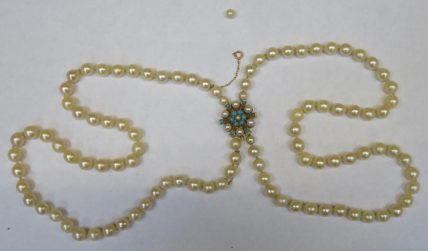 Cased double strand of cultured Ciro pearls, with 9ct gold clasp, set with pearls and turquoise