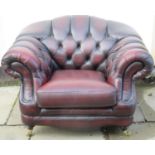 20th century oxblood upholstered Thomas Lloyd button back chesterfield armchair. Approx. 86cm High