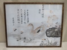 Late 19th / early 20th century framed watercolour, depicting a Mallard on water, signed with