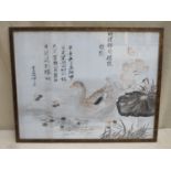 Late 19th / early 20th century framed watercolour, depicting a Mallard on water, signed with