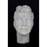 A plaster bust of a young gentleman, H. 20cm.
