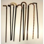 A quantity of walking sticks and canes (some horn handled).