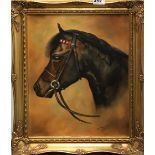 A gilt framed oil on canvas of a horse signed J H Seabrook, framed size 45 x 55cm.