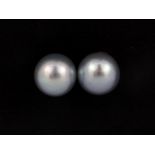 A pair of 18ct yellow gold (stamped 18k) stud earrings set with Japanese grey cultured pearls,
