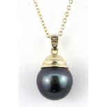 A 9ct yellow gold black pearl set pendant and chain, L. 2.5cm.