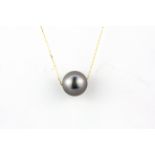 An 18ct yellow gold (stamped 750) necklace set with a single large grey South Sea pearl, Dia. 1.2cm,