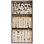 Taxidermy interest. Three Victorian glass tray cabinets of insects, tray size 39 x 26cm.