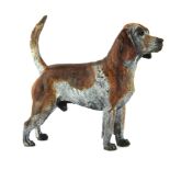 A cold painted Vienna style bronze model of a beagle, H. 12cm.