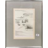 A framed group of pencil sketches entitled 'Study for the Living Wilderness' signed (Philip)
