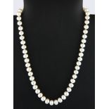 A single strand cultured pearl necklace, pearl size 7.5mm, strand L. 44cm.