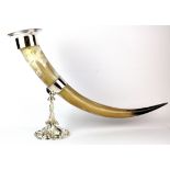 A silver plate mounted cattle horn cornucopia/ drinking horn, H. 39cm L. 66cm.