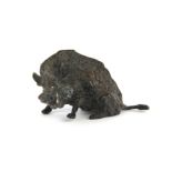 A Vienna style cold painted bronze figure of a warthog, L. 6.5cm.