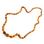 A large butterscotch amber graduated necklace, L. 1m, approx. 97gr.