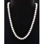 A single strand cultured pearl necklace, pearl size 7.5mm, strand L. 44cm.