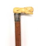 A 19th Century walking cane with carved ivory lion handle and hallmarked silver collar, lion L.