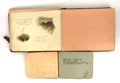 Two early 20th Century autograph books. - Image 2 of 2