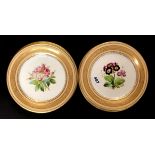 A set of six hand painted 19th Century porcelain plates, Dia. 23cm.