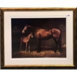 D. Snee gilt framed pencil signed limited edition 386/800 print of a mare and foal, 76 x 66cm.