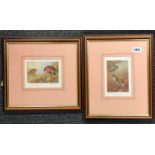 A set of nine framed Ornithological prints, frame size 35 x 29cm.