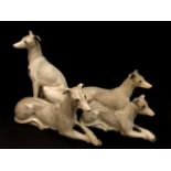 Four porcelain figures of greyhounds, largest 23cm.