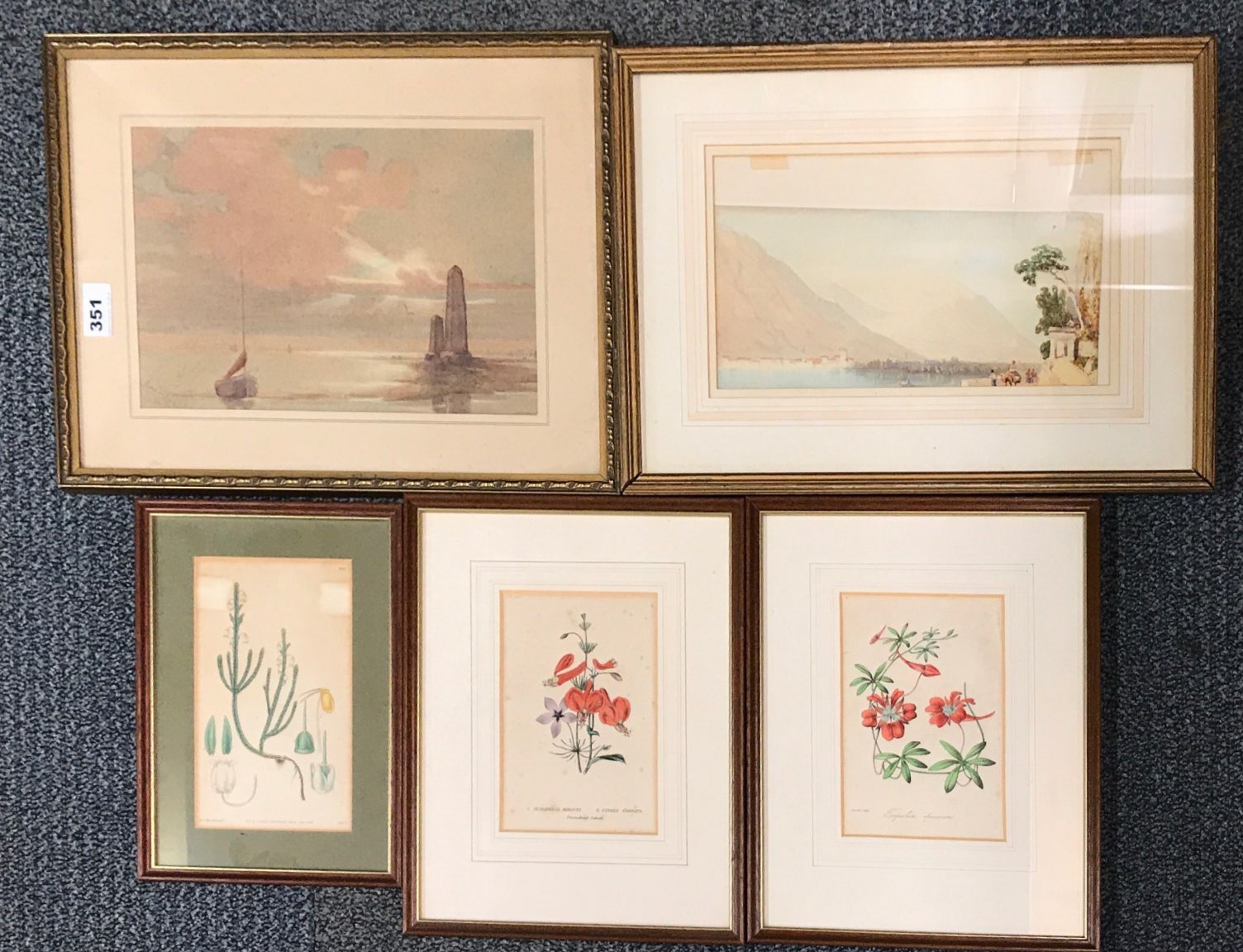 Two framed watercolours and three framed early prints of flora, largest 33 x 43cm.