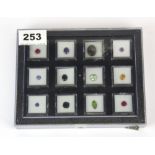 A tray containing twelve un-mounted gemstones, including amethyst, iolite, quartz, sapphire, etc.