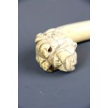 A 19th Century carved ivory bulldog head for walking stick handle with glass eyes, H. 9cm.
