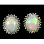 A pair of 925 silver opal and white stone set cluster earrings, L. 1cm.